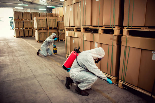 Professional Pest Control in Shamokin Dam, PA